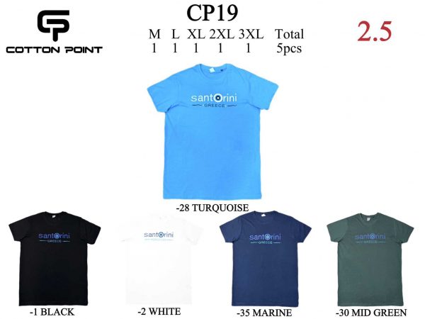 CP19